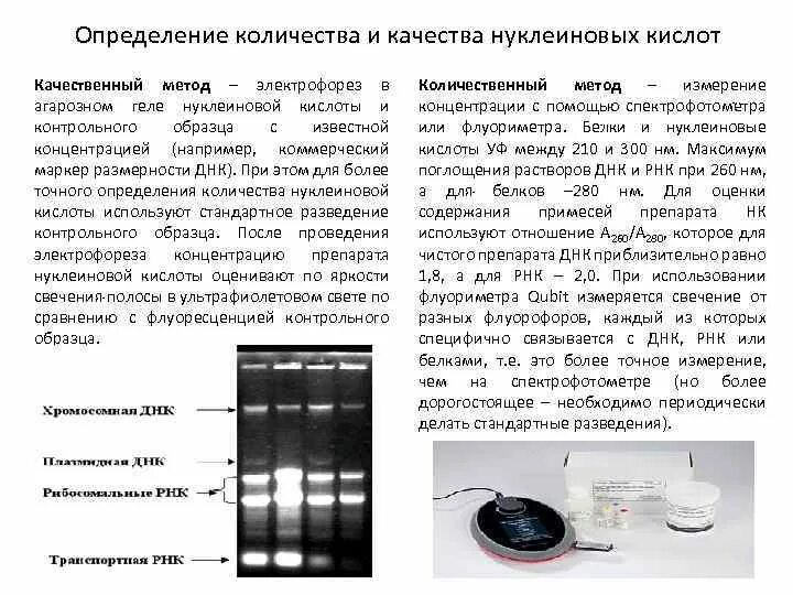 Тест песня электрофорез. Агарозный гель-электрофорез методика. Электрофорез ДНК В агарозном геле принцип метода. Метод ПЦР гель электрофорез. Электрофорез в агарозном геле методика.