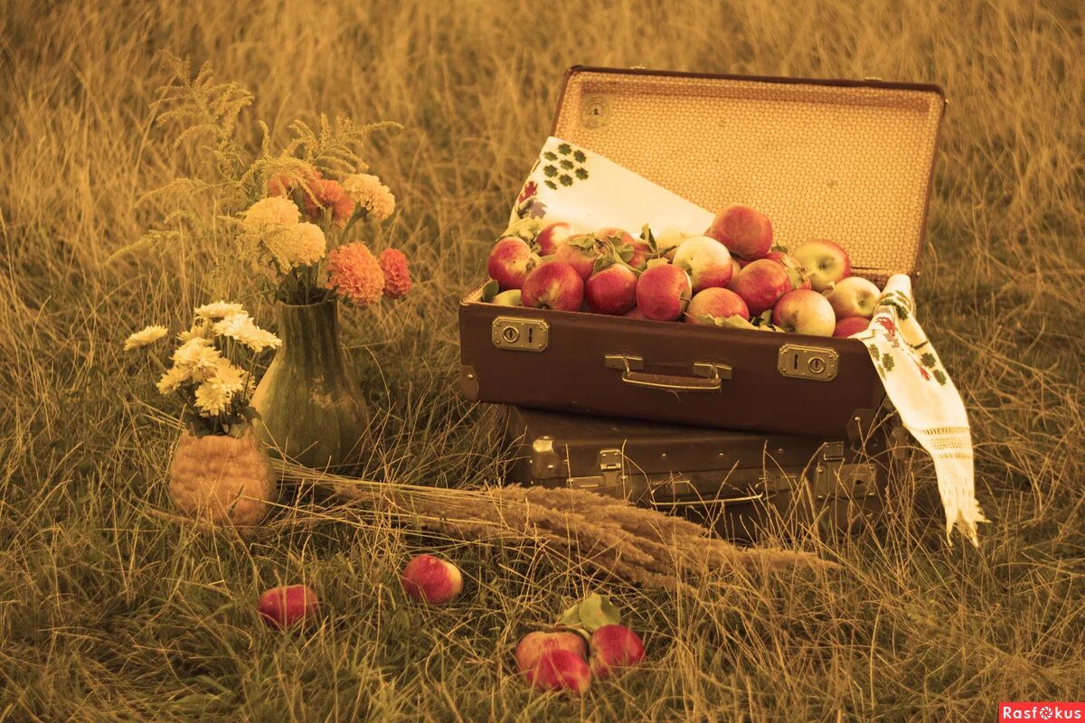 Август лето на исходе. Яблочный спас Эстетика. Чемодан с яблоками. Август картинки. Ковид август