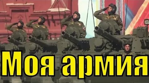 Стройные ряды под небом чистым