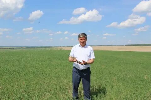 Погода в камышлинском районе самарской