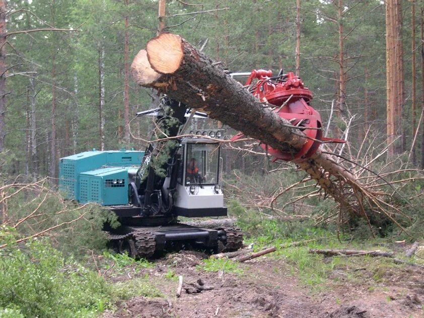 Машина спиливающая деревья. Валочно-пакетирующая машина лп-19. Харвестер джон дир 1270. Харвестер tigercat 860 c. Лп 19 погрузчик.