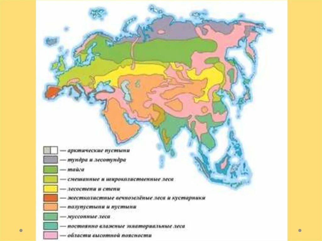 Какие природные зоны есть в евразии