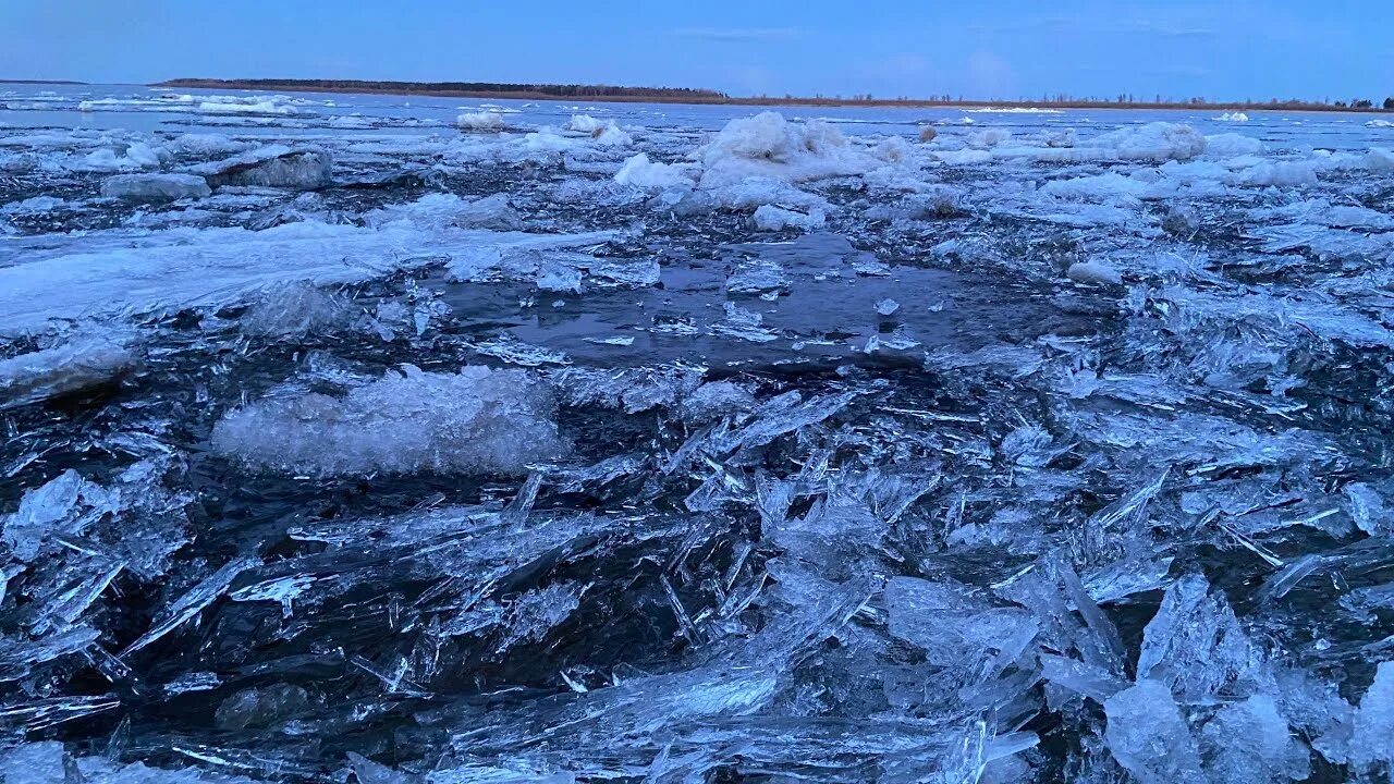 Какого числа пойдет обь. Ледоход в нижневартовске. река обь сургут. ледоход в сургуте. ледоход на оби.