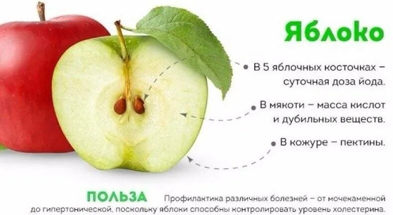 Почему любят яблоки