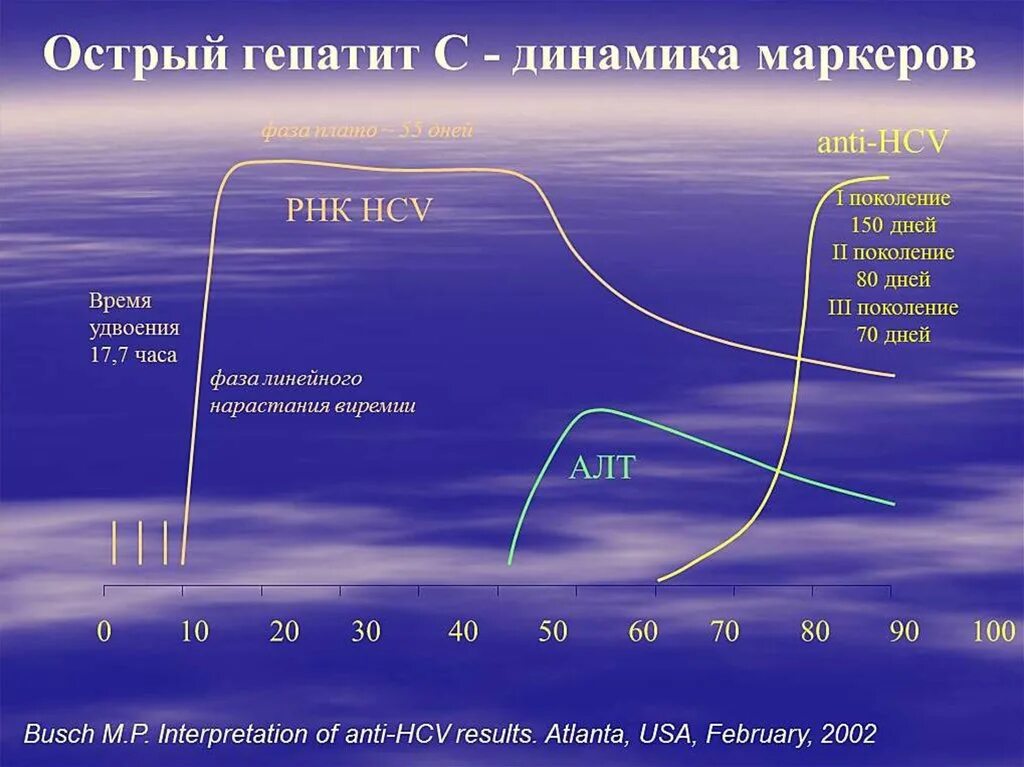Острый гепатит маркеры. Динамика маркеров гепатита в. Динамика маркеров при гепатите с. Гепатит в антитела динамика. Динамика маркеров HCV.