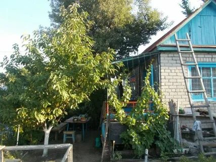 Дачи камышина