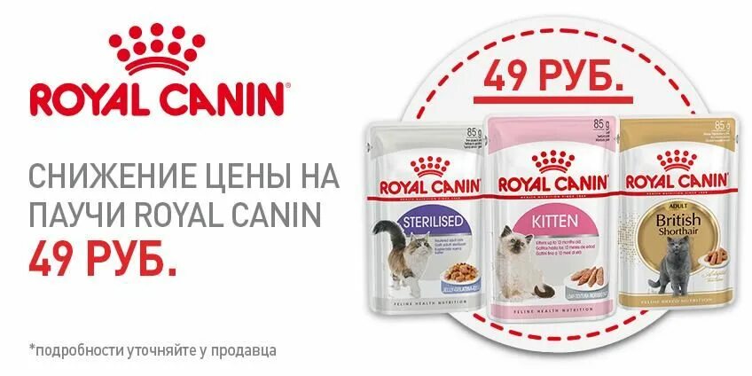 Линейка роял канин. Roal Canin пауч. Паучи Роял Канин для кошек. Влажные корма для кошек Роял Канин. Royal Canin паучи для кошек.