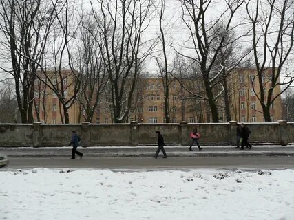 Петербург бумажная улица