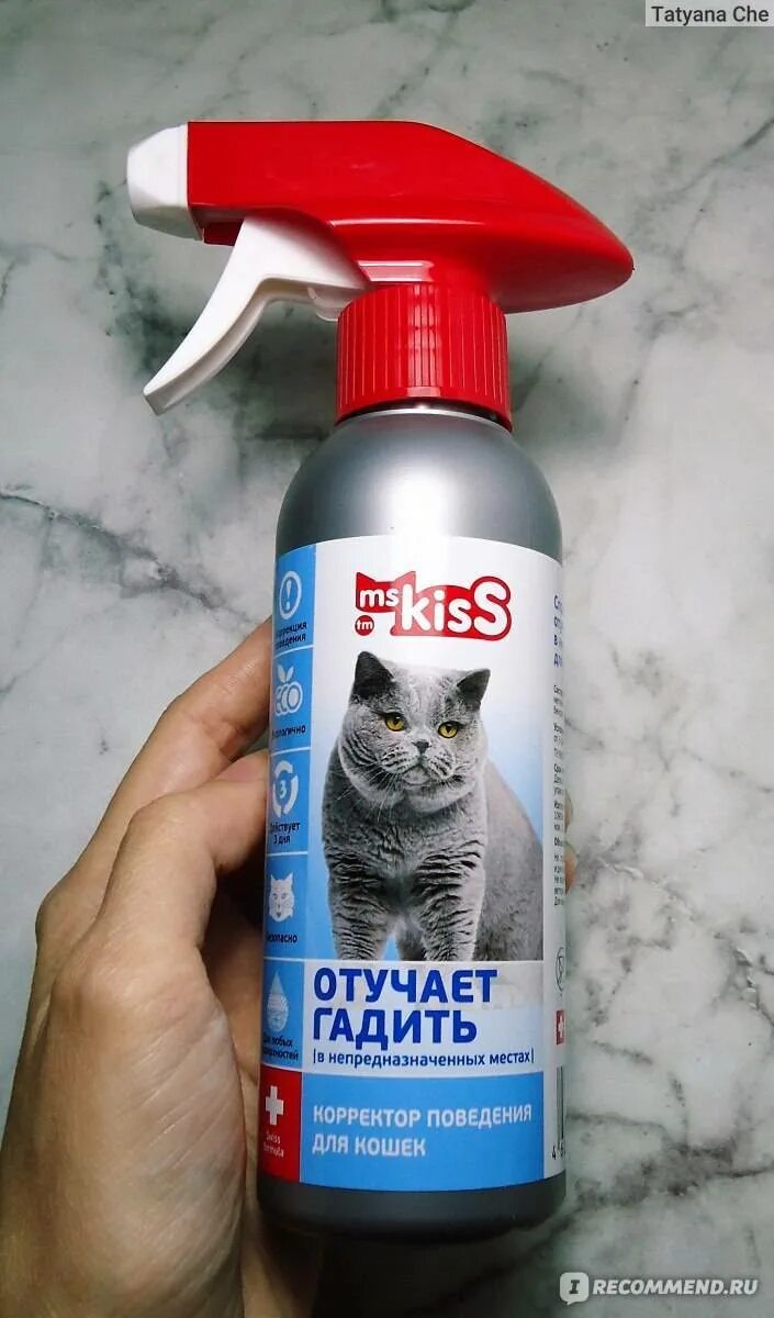 Как отучить котенка гадить. Средство для отучения кошек гадить в неположенном месте. отучение гадить для кошек. средство отпугивающее котов. отучить гадить котов средство.