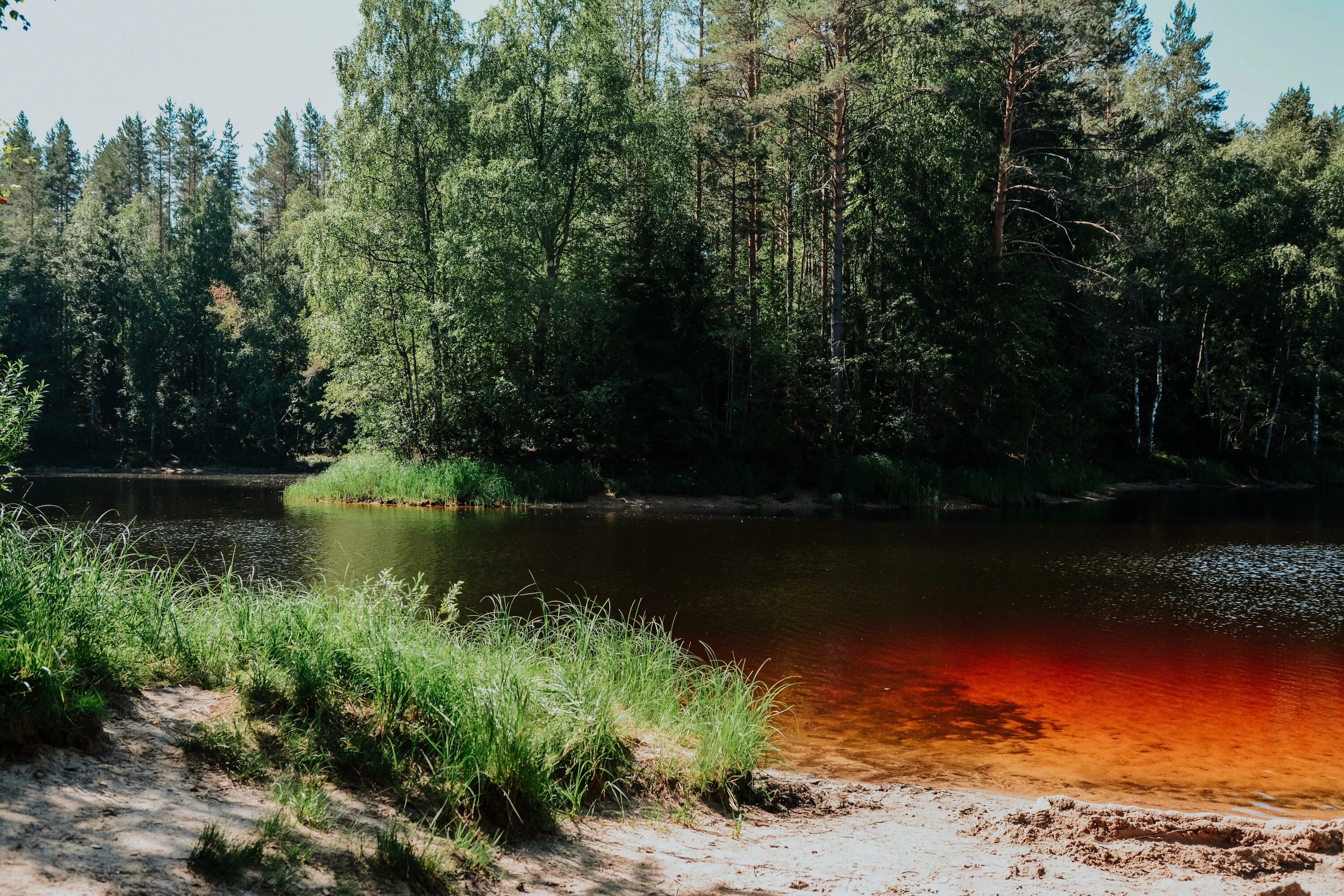 Озеро городно. Озеро городно псковская область. Озеро городно новгородская область. Озеро городно новгородская область. Озеро городно новгородская область.