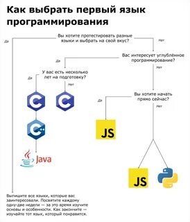 Какой вид программирования выбрать