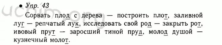 Русский язык 1 класс стр 43 10. Родной русский язык 5 класс. Русский язык 3 класс номер 5. Русский язык 5 класс 2 часть страница 120.