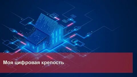Цифровая крепость
