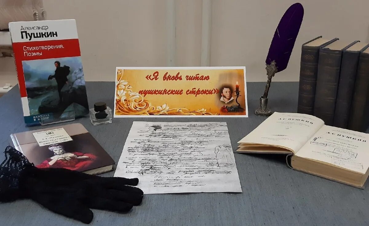 читаем пушкина дома.