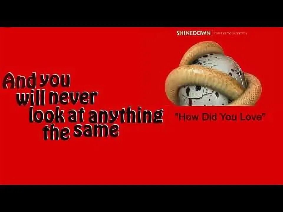 Shinedown how did you love. How did you love shinedown. shinedown how did you love lyrics. how did you love shinedown текст песни. обложка shinedown how did you love.