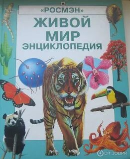 Живой книга читать