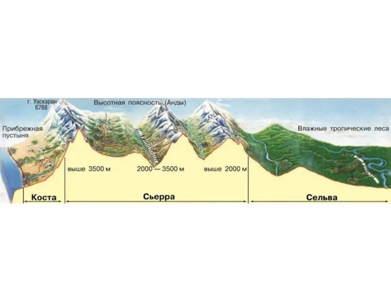 Высотная поясность в Андах. Высотные пояса анд на карте. Географический профиль Перу. Схема ВЫСОТНОЙ поясности анд.