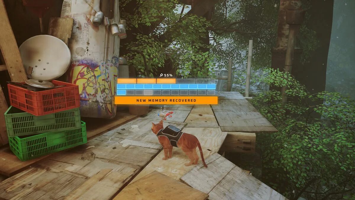 Stray cat mem. Stray memory. Stray номера воспоминаний. Stray игра. Stray memory.