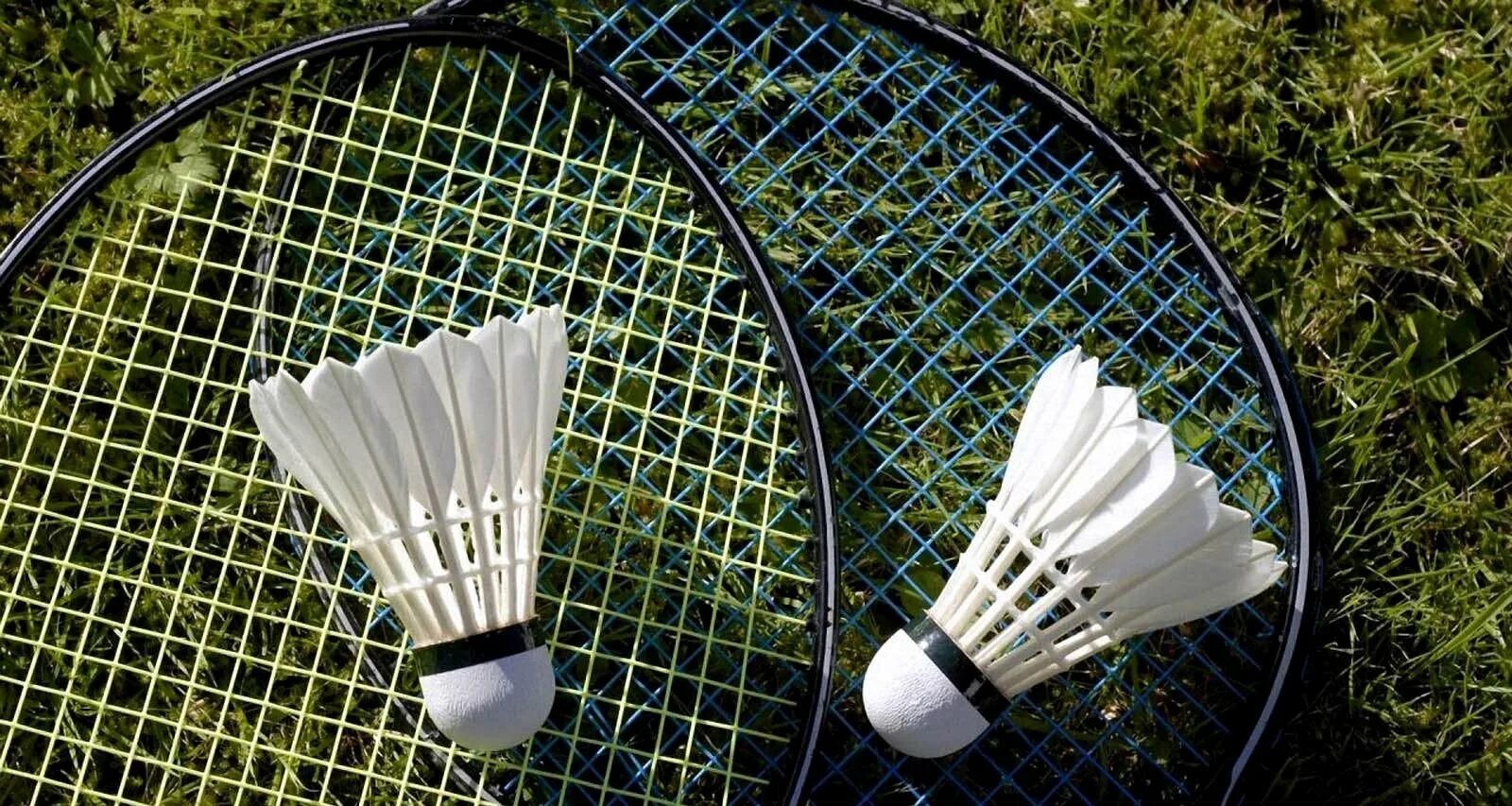 Профессиональный бадминтон. Badminton racket png. Бадминтон спорт. Ракетка для бадминтона. Вид спорта с воланчиком.