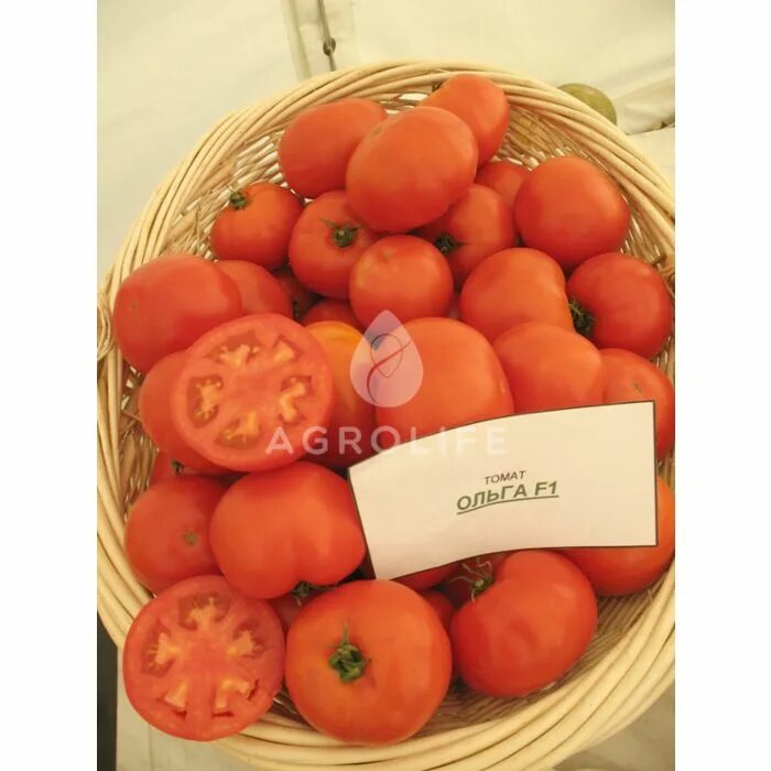 Сорт томатов оля f1 отзывы. Помидоры сорт Оля f1.
