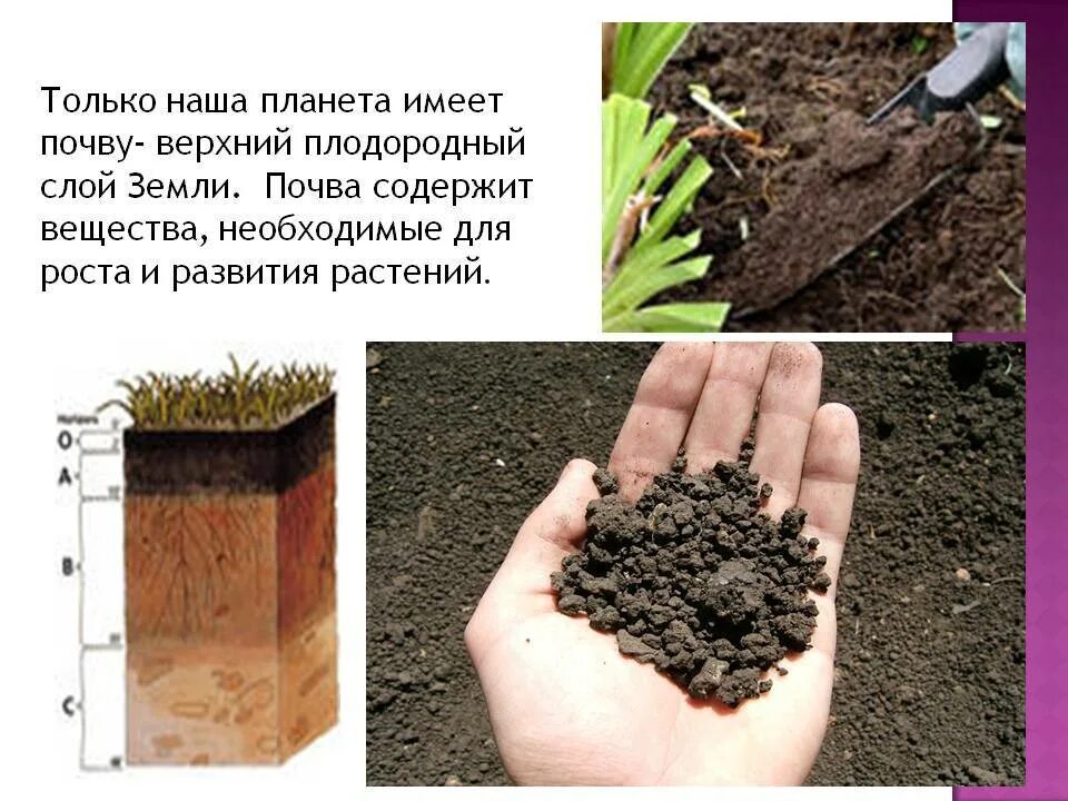 От чего зависит почва. Плодородный слой почвы. почва плодородие почвы. верхний плодородный слой почвы. почва плодородный слой земли.