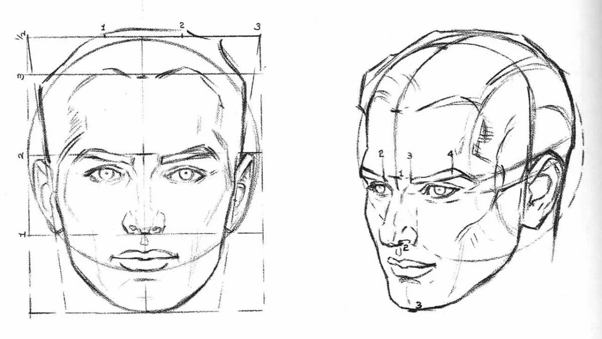 подобрать форму бровей. рисунок головы человека в профиль и анфас.