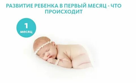 Ребенок 2 4 месяца развитие