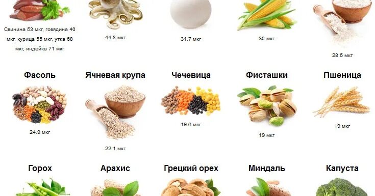 Продукты содержащие селен в большом. Продукты содержащие селен в большом количестве таблица для мужчин. Селен в каких продуктах содержится больше всего таблица.