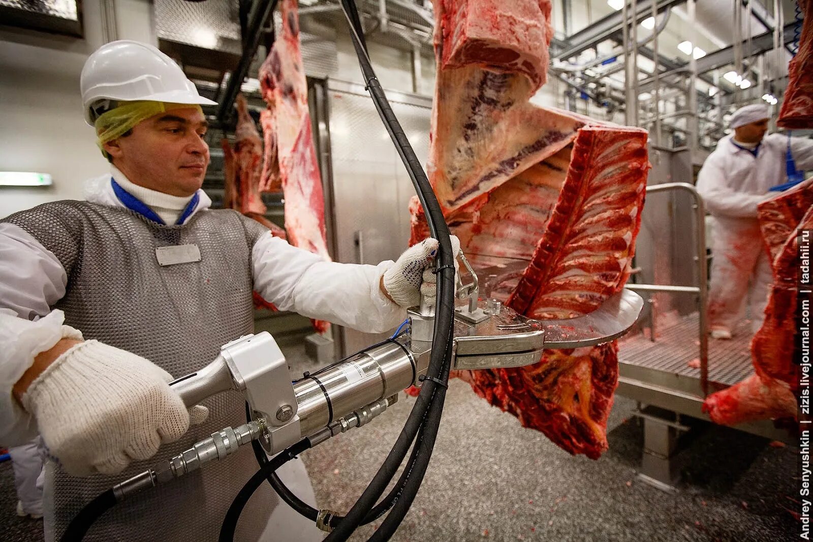 Современные технологии мясо. Мясоперерабатывающая промышленность. Мясная промышленность. Мясоперерабатывающие предприятия.