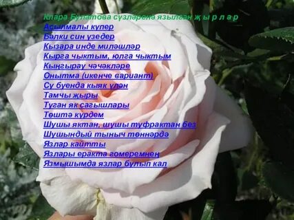 Сина кайтам