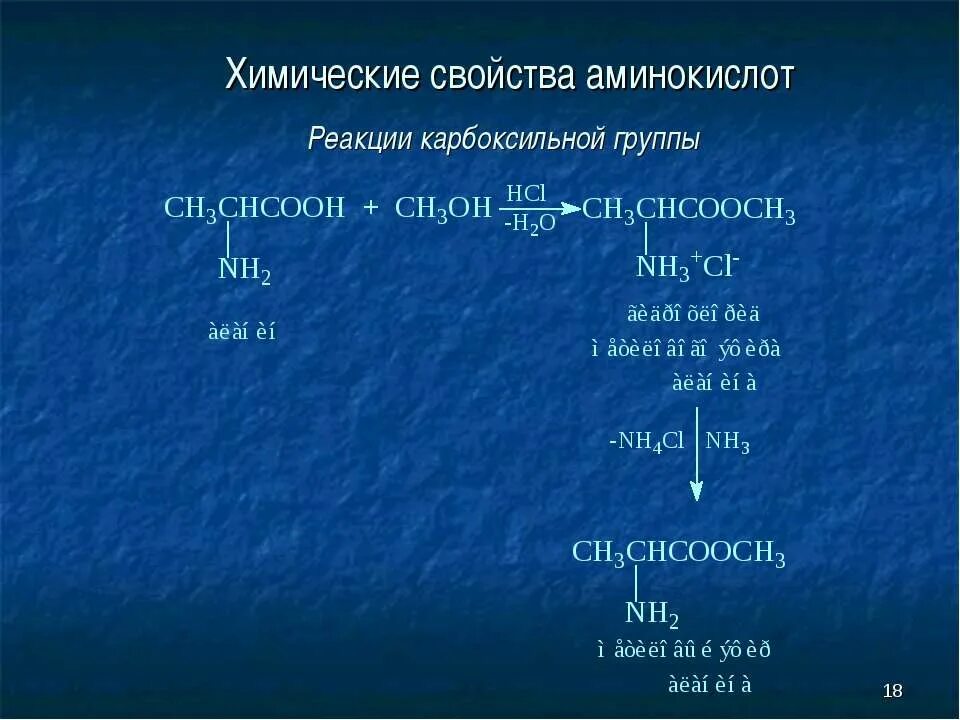 В реакцию с аминокислотами вступает. Аминокислоталар. Aminokislotalar formulasi. Aminokislotalarning izomeryasi. Almashinmaydigan aminokislotalar.