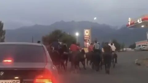 События в талгаре казахстан