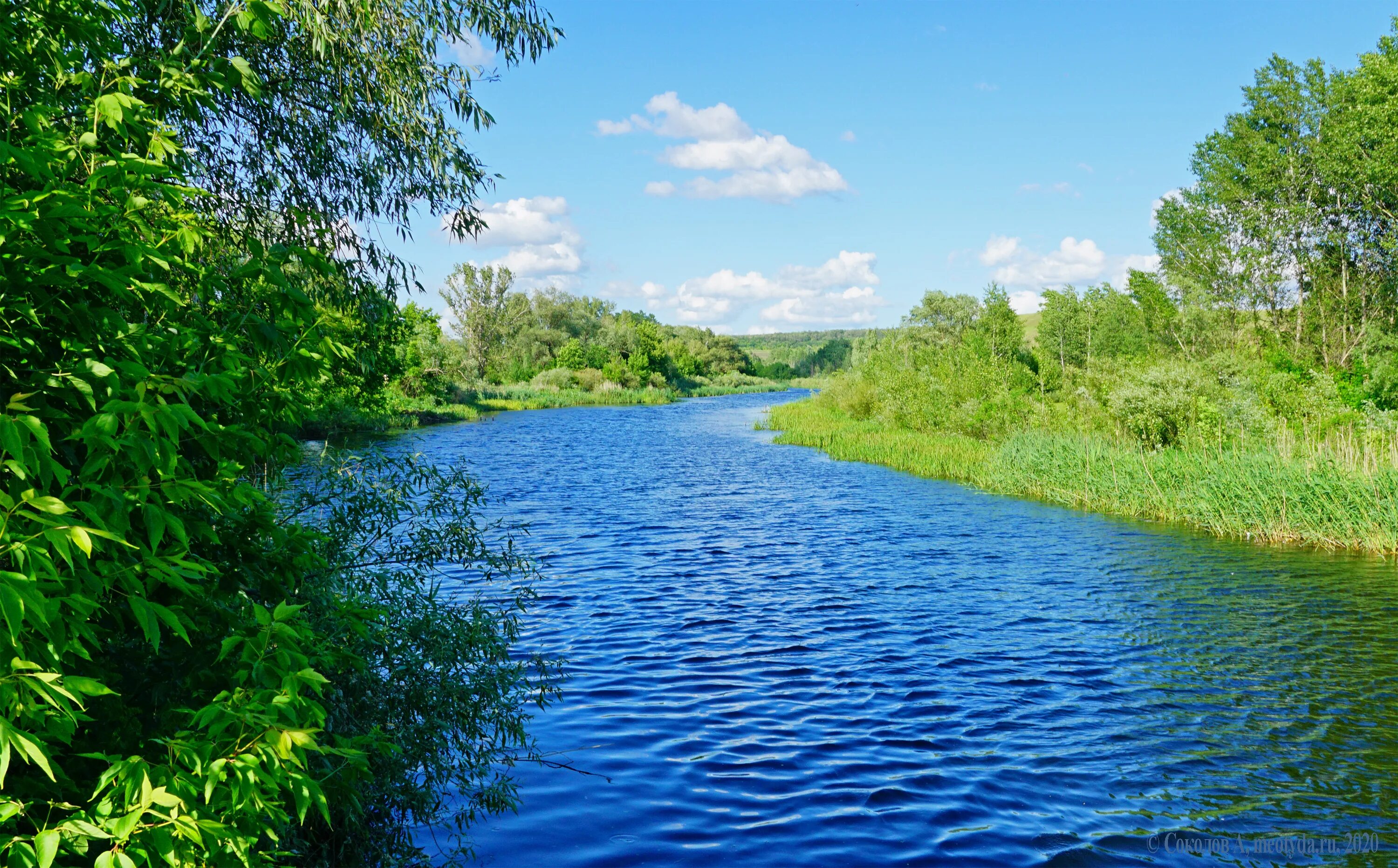 Река Щегринка. В течении реки. Спокойное течение реки. Речка течение.