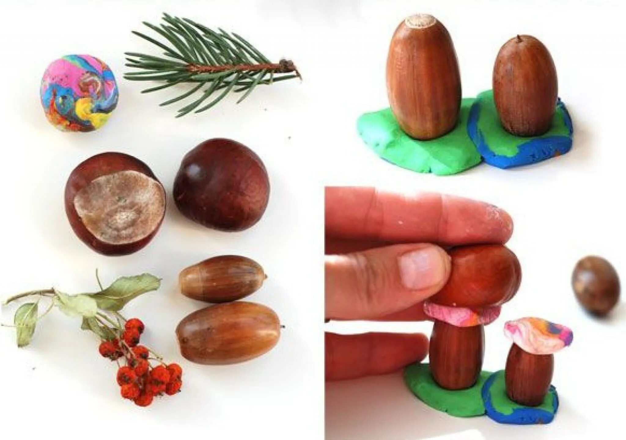 поделки из пластилина и природного материала. поделки из семян. пластилинография с природным материалом. аппликация из семян. парк из природного материала 3 класс.