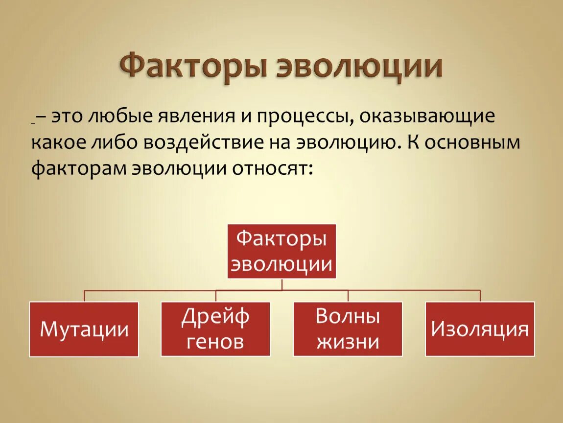 Факторы эволюции. Факторы эволюции презентация. Факторы эволюции живых организмов. Эволюция факторы эволюции. 3 основных фактора развития