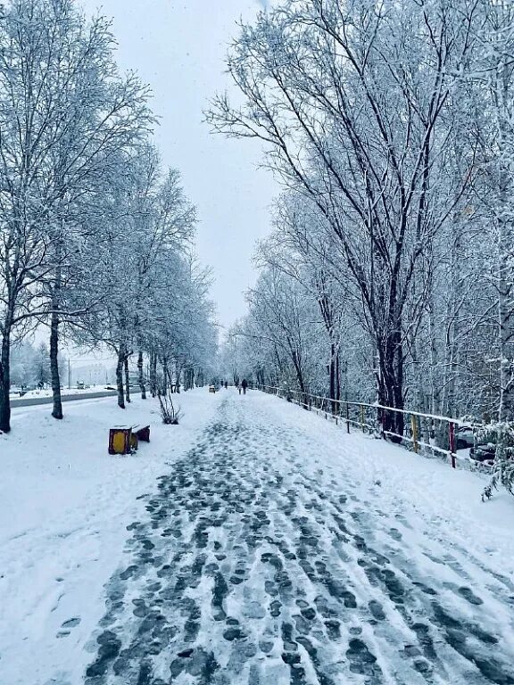 Снег в сентябре какая. Снегопад. Зима без снега. Снежный день. Самый сильный снегопад.