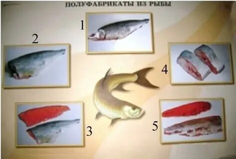 Какие полуфабрикаты из рыбы