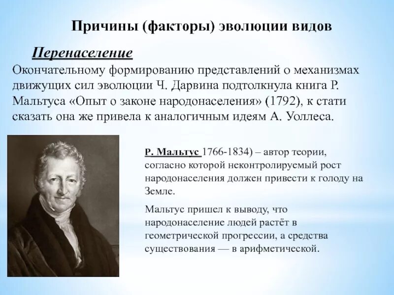 Автор теории народонаселения. Теория народонаселения мальтуса. Теория народонаселения. Теория томаса мальтуса. Народонаселение это в философии.