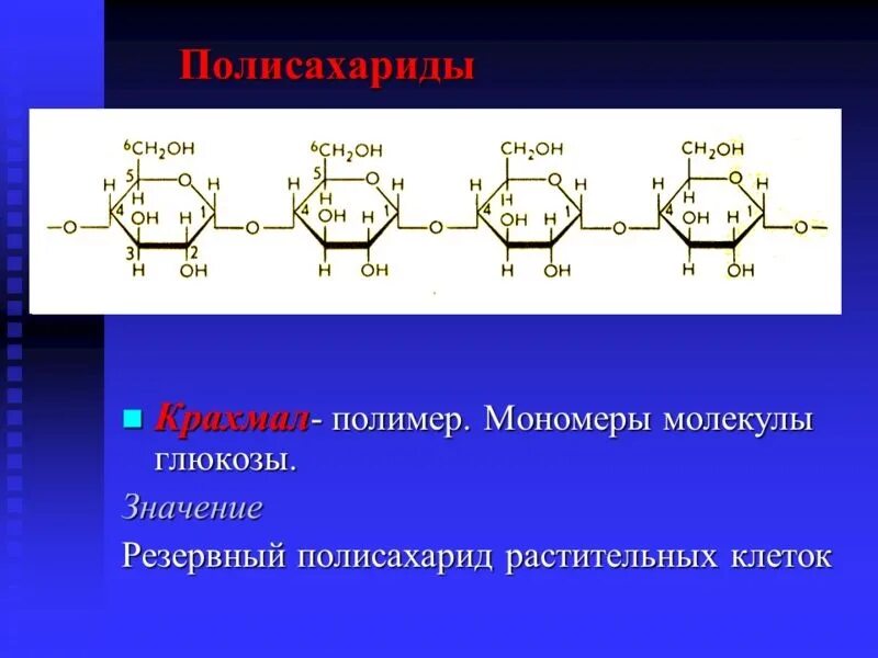 Глюкоза молекула полисахарида. Крахмальные полисахариды. Мономеры полисахаридов. Строение полисахаридов. Полисахариды крахмал.