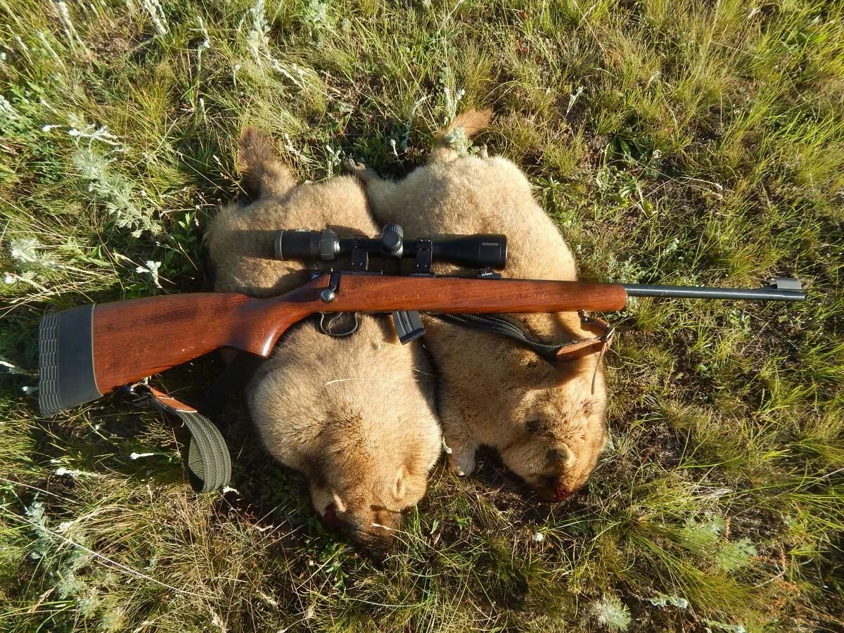 Охотничий м