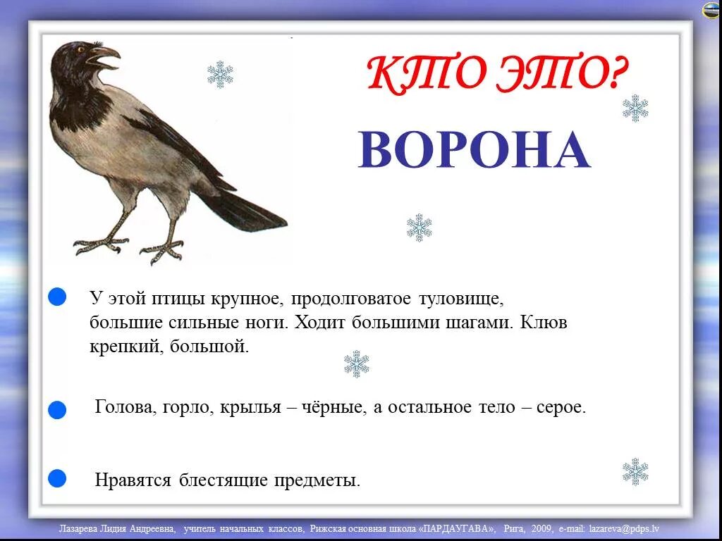 Основная мысль текста каждый знает воробья ворону. Ворона описание для детей. Описание про ворону для детей. Ворона описание для де. Ворона для презентации.