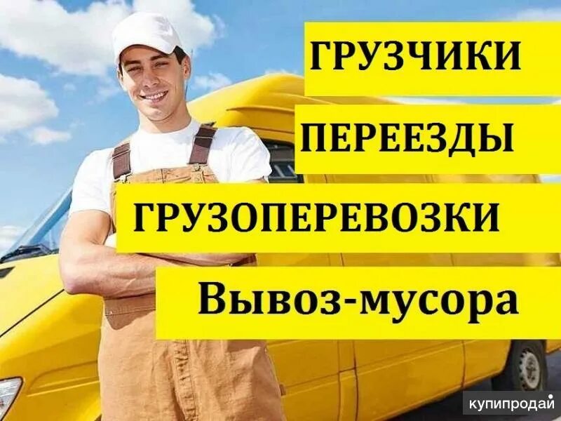 Грузчики ставрополь. Авито грузчики ставрополь. Грузчики ставрополь. Авито грузчики ставрополь. Грузчики картинки.
