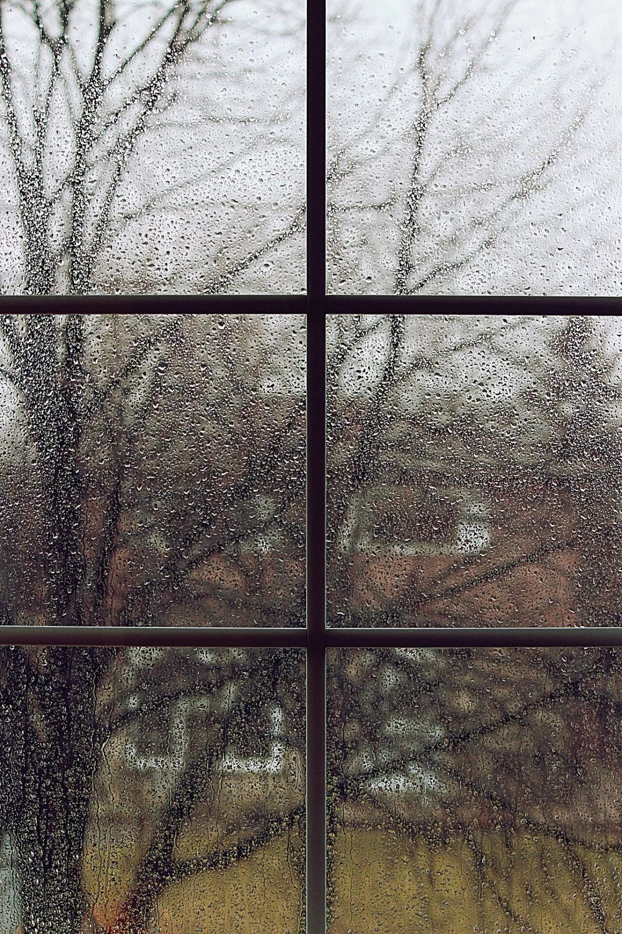 Дождь за окном. Пасмурный вид из окна. Пасмурно за окном. Дождливый вид из окна.
