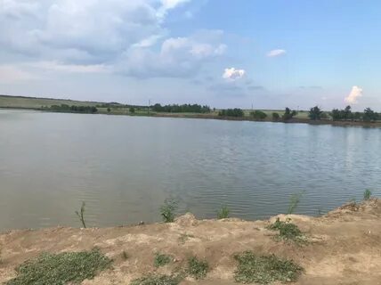 Натальина яра