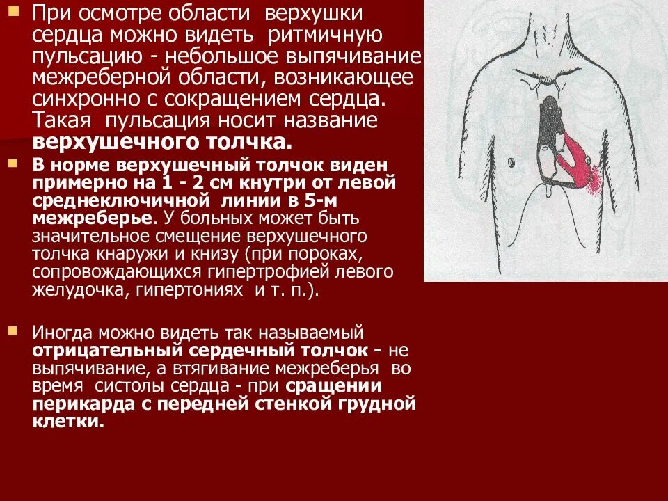 Аускультация сердца сердца пропедевтика. Пульсации в области сердца в норме. Осмотр области верхушки сердца. Аускультация сердца при заболеваниях ССС.