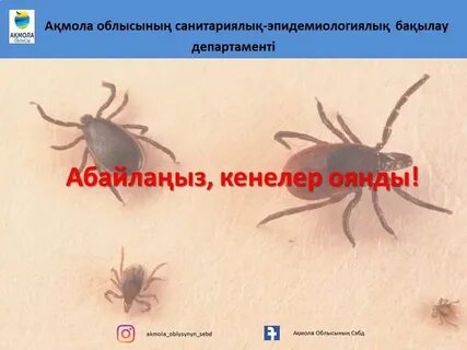 Ол маған пульс жоғалғанша куннилингус берді.