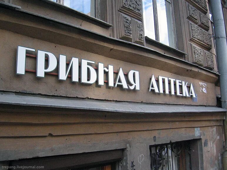 Грибная аптека вишневского. Грибная аптека санкт-петербург. Грибная аптека в спб. Грибная аптека вишневского. Грибная аптека вишневского спб.