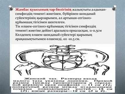 Frozen мультфильмінен секс видео