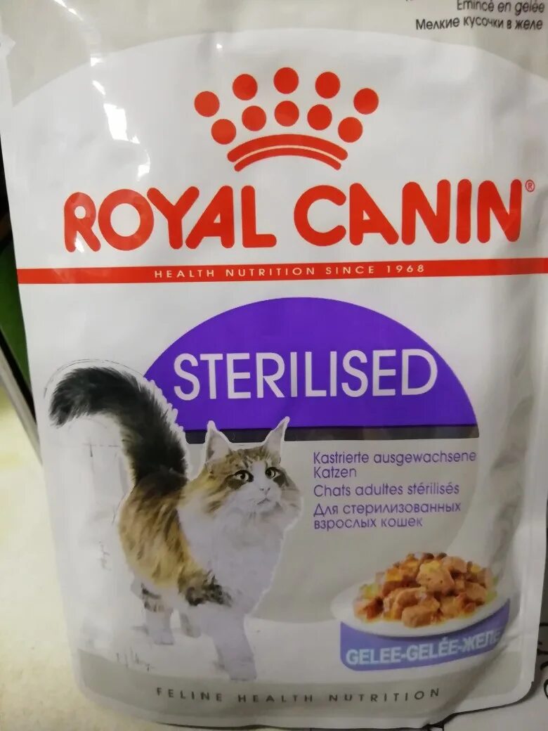 Корм желе для стерилизованных кошек. Роял Канин пауч. Royal Canin Sterilised желе. Паучи Роял Канин для кошек. Роял Канин для кошек желе.