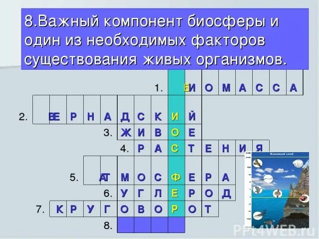 Вопросы на тему биосфера с ответами. Кроссворд на тему Биосфера. Кроссворд на тему Биосфера с ответами. Кроссворд на тему Биосфера география. Кроссворд на тему Биосфера 6.